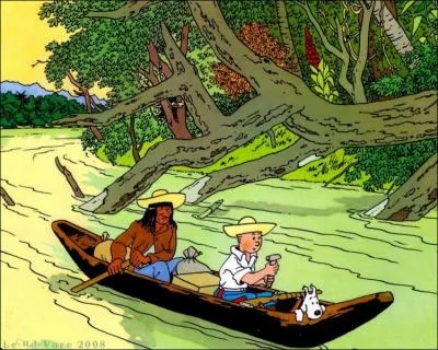 Cette vignette vient de l'album :