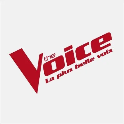 Sur quelle chaîne ce divertissement est-il diffusé ?