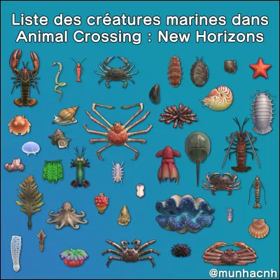 Quelles sont les créatures les plus rares (et chères) ?