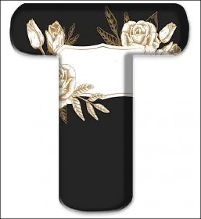 Thérèse Raquin : de qui est ce roman ?