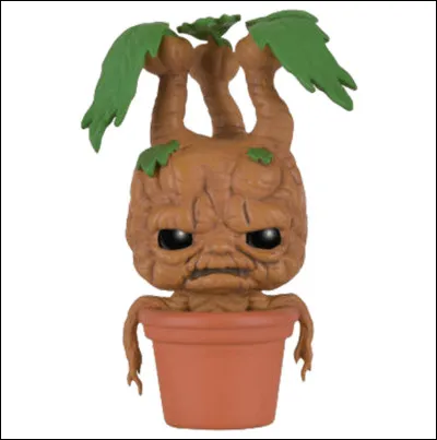 Quel film préfères-tu ?