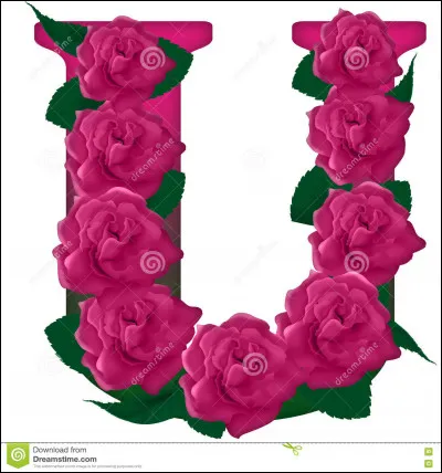 Unique : qui était unique au monde pour le Petit Prince de Saint-Exupéry ?