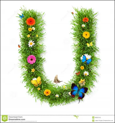 UV : comment est appelé le rayonnement des UV ?