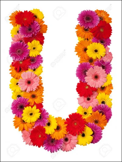 Ukraine : quelle est sa capitale ?