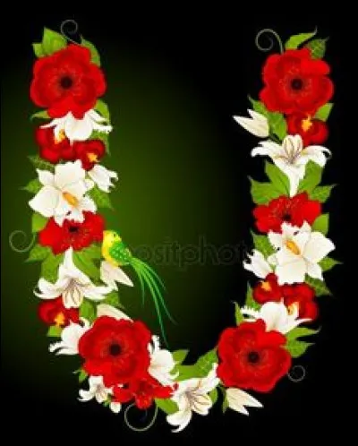 Urée : quelle maladie est engendrée par l'excès d'urée ?