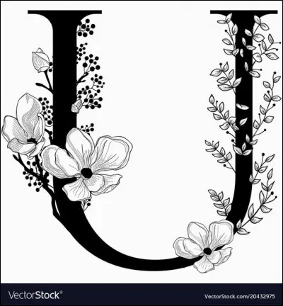 Uele : dans quel pays d'Afrique coule cette rivière ?