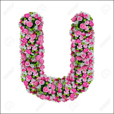 Ustensile : quel est celui qui va vous servir de spatule pour racler le fond des récipients ?