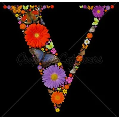 Voyage : qui a interprété la chanson "Il voyage en solitaire" ?