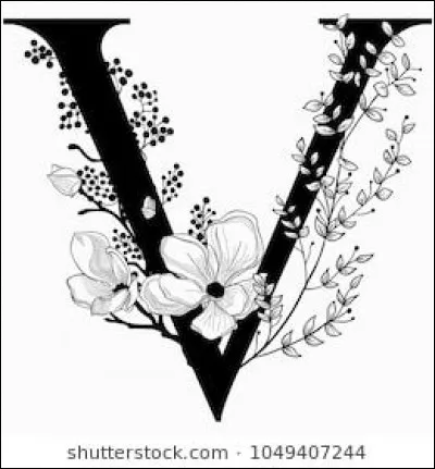 Vanessa Paradis : lequel de ces "taxis" l'a fait connaître ?