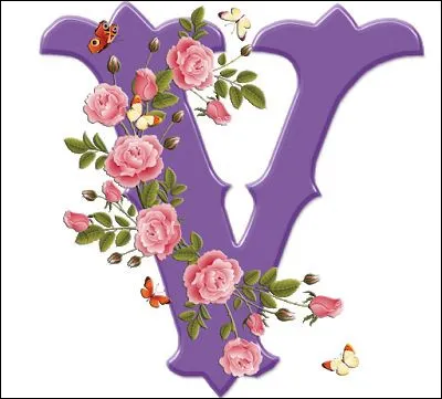 Voyance : de quoi se sert la voyante dont l'art divinatoire est la chiromancie ?