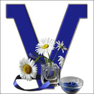 Viens chez moi j'habite chez une copine : qui jouait, dans ce film, avec Michel Blanc ?