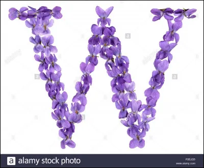 Westphalie : de quel pays est-ce une région historique ?