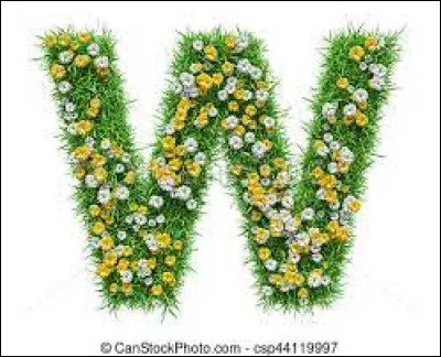 Western : quel western mythique réunit Henry Fonda, Charles Bronson, Jason Robards et Claudia Cardinale ?