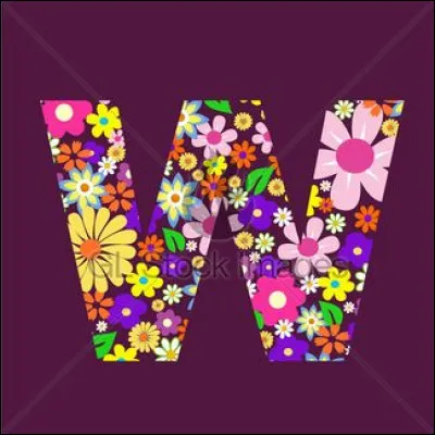 Wilson Pickett : quel était son genre de musique ?