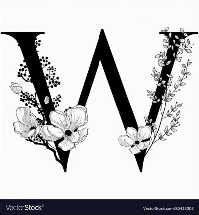 Wapiti : c'est un...