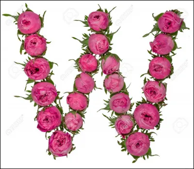 Why ? : je vous laisse traduire :