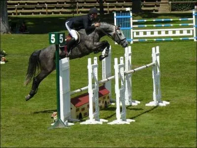 O se pratique le CSO ?