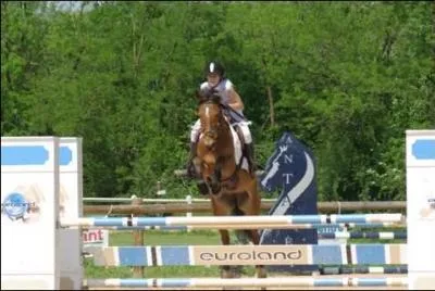 Quels sont les sauts d'obstacles dans un CSO ?