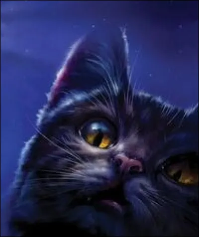 Étoile de Ronce est-il comme son frère (Plume de Faucon) ?