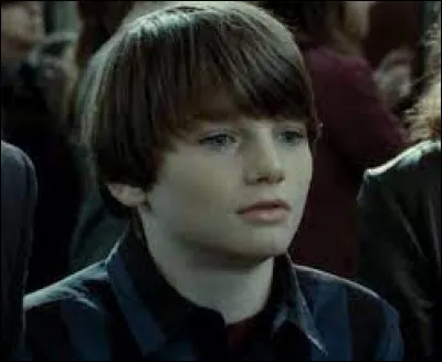 Dans quelle maison va Albus Potter ?