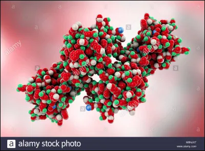 Qu'est-ce qu'une toxine ?