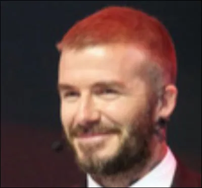 Quel est le nom de famille de cette personne ? (indice : David)