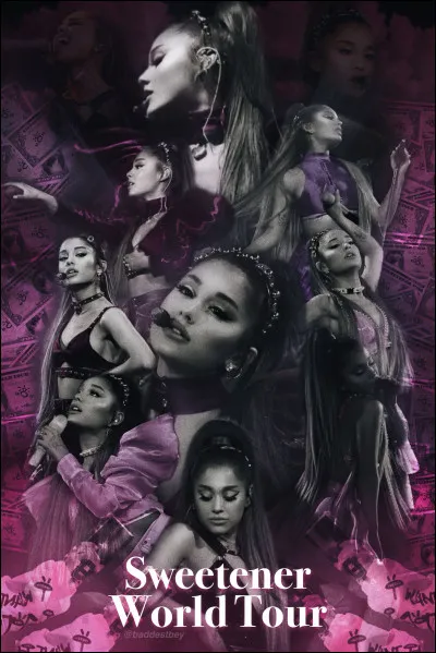 Quand a eu lieu la tournée et quel est son nom ?
(dates européennes)