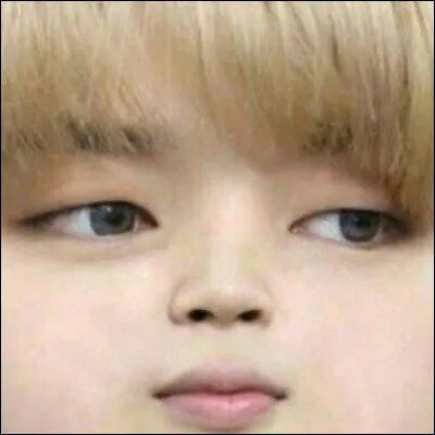 Quel membre est le plus ag&eacute; ?