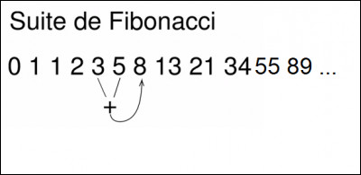 Intelligence, quand tu nous tiens ! La suite de Fibonacci est une suite de nombres entiers dans laquelle chaque terme est la somme des deux termes précédents. 
Quelle est la suite logique se trouvant sur la photo ci-dessus ?
