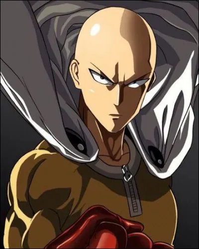 One Punch Man - Quelle est la catégorie de héros où Saitama est placé après l'examen ?
