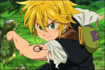 The Seven Deadly Sins - Où se situe le royaume de Liones ?