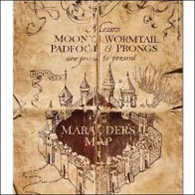 Qui sont les maraudeurs ?