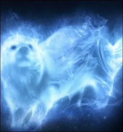 Qui peut créer ce Patronus ? (loutre)