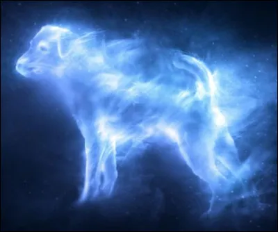 Qui peut créer ce Patronus ? (chien)