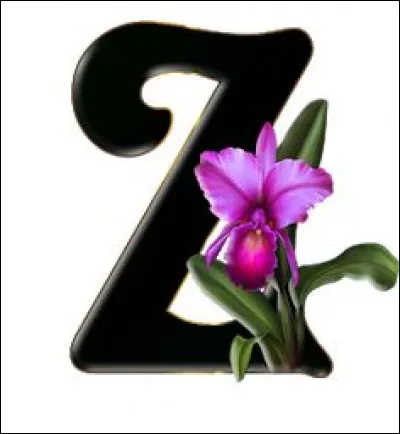 Zappa : quel genre de musique composait surtout Frank Zappa ?