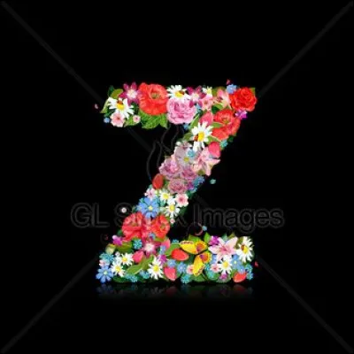 Zara : c'est une marque de vêtements :