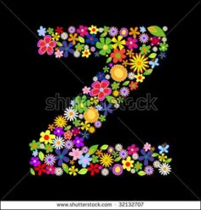 Z : quel chien est la mascotte du journal "Télé Z" ?