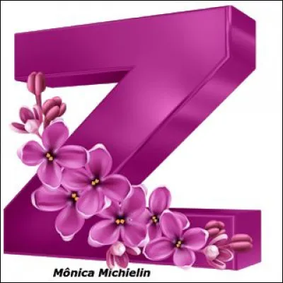 Zebda : que chantait ce groupe des années 90 ?