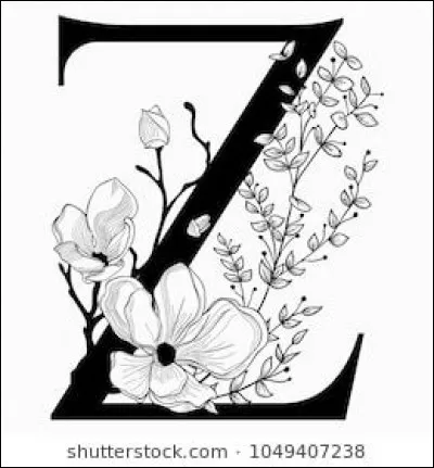 Zarzuella : délicieuse spécialité méditerranéenne, de quel pays est-elle originaire ?