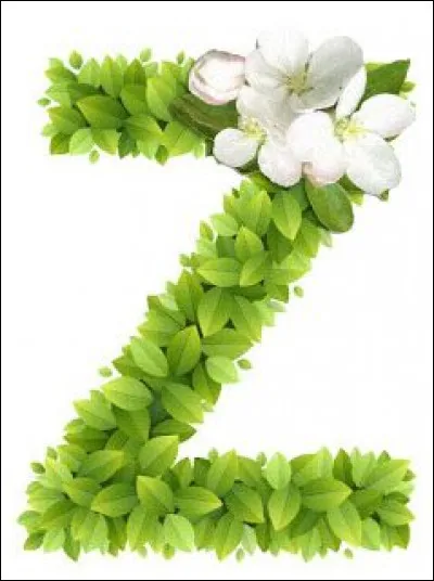 Zoulou : d'où est ce peuple ?