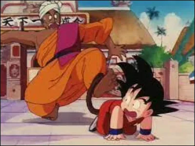 Qui de Son Goku ou Nam a gagné ?