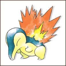 Quel est le nom de ce pokemon ?