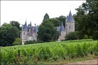 Nous terminons notre balade au château de Tracy-sur-Loire. Commune de l'arrondissement de Cosne-Cours-sur-Loire, elle se situe dans le département ...