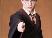 Quiz Qui est-ce dans ''Harry Potter''