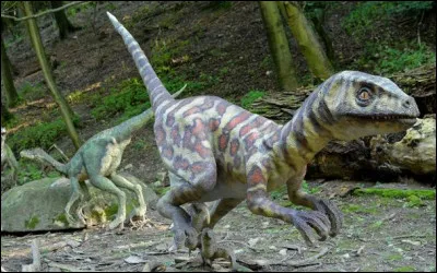 Comment s'appelle le dinosaure qui a une queue avec une masse au bout ?