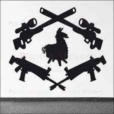 &Agrave; quel jeu appartient cet &eacute;cusson ?