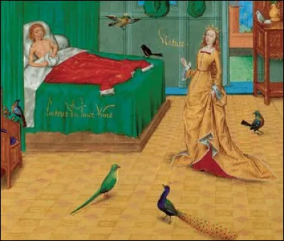 Pourquoi avait-on des lits trop courts au Moyen Âge obligeant les personnes à dormir recourbées en chien de fusil ?