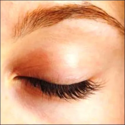 Comment s�appelle la membrane muqueuse qui tapisse l�int&eacute;rieur des paupi&egrave;res ?