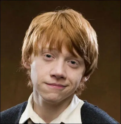 Dans quelle maison Ron Weasley est-il envoyé ?