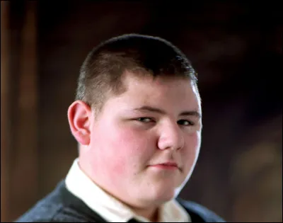 Dans quelle maison Vincent Crabbe est-il envoyé ?